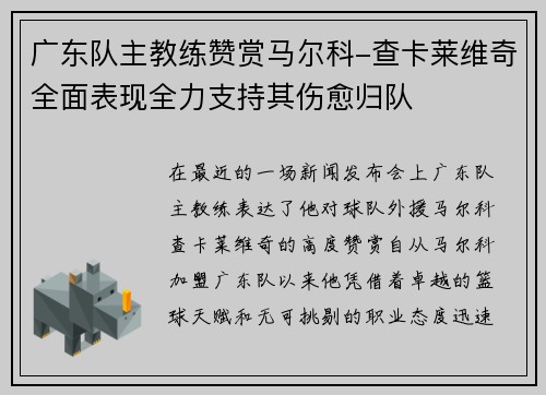 广东队主教练赞赏马尔科-查卡莱维奇全面表现全力支持其伤愈归队